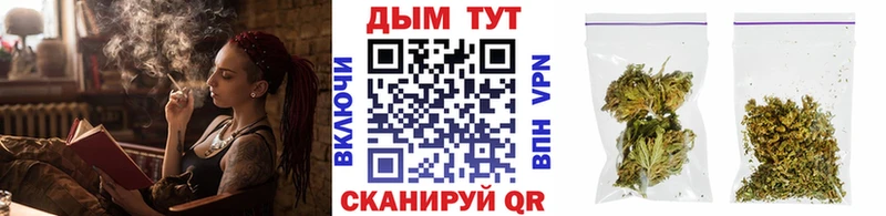 сколько стоит  Тула  Бошки Шишки Amnesia 